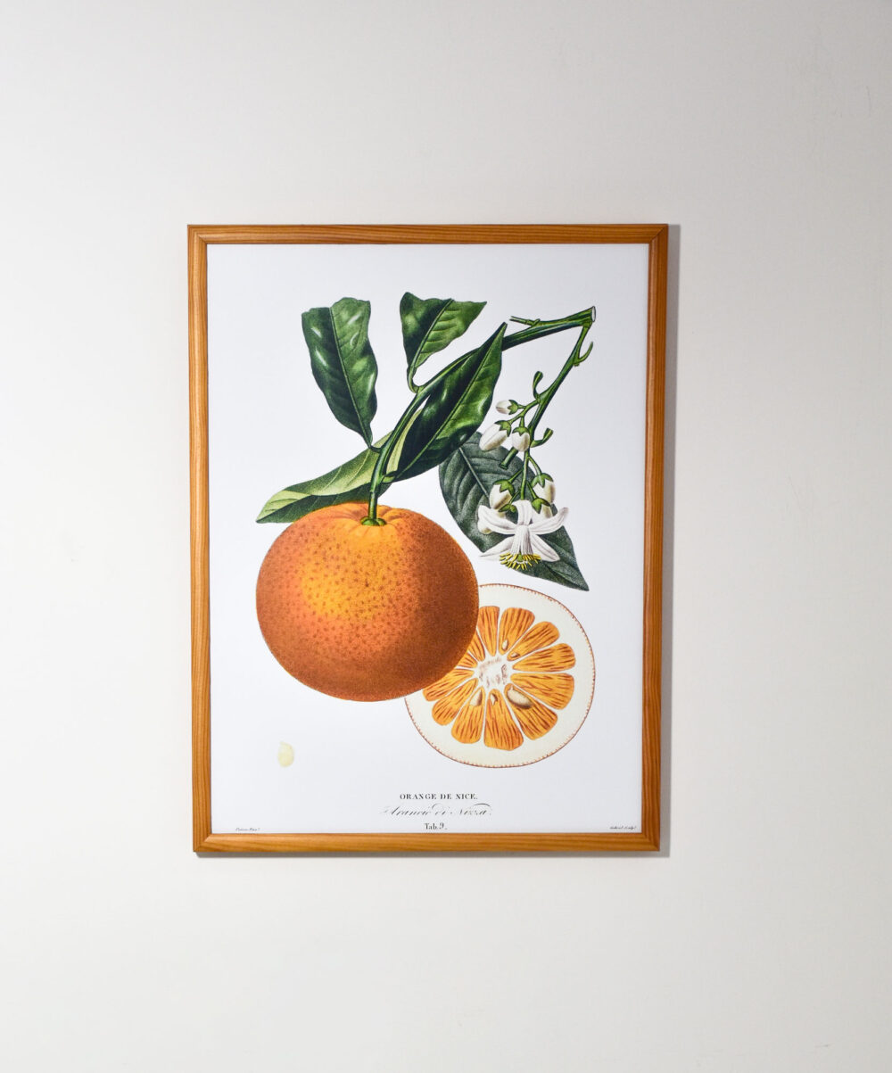 plakat pomarańczy