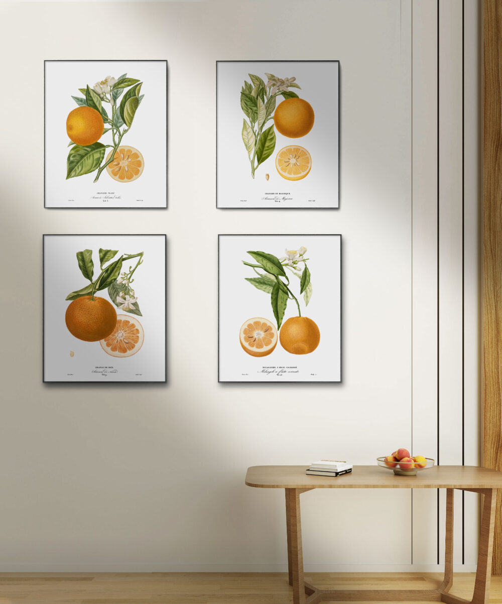 obrazy z pomarańczą